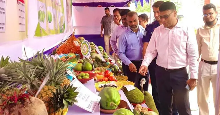 রাজশাহীতে ফল ও আম মেলা